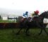 Sizing Europe (IRE)