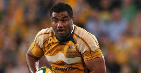 Palu: Shoulder injury