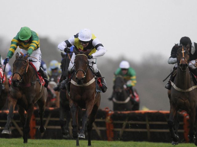 Sentry Duty: Won the Ladbroke for Nicky Henderson in 2008