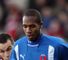 Palmer image