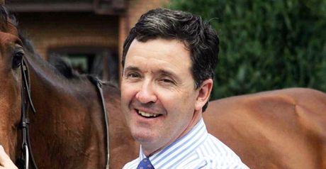 Tregoning: High hopes for Hawaafez now that she's filled out