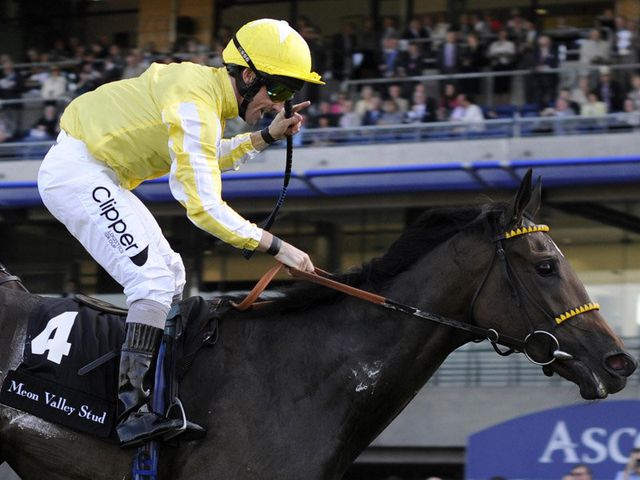 Callan celebrates Hibaayeb's victory.