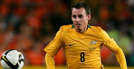 Wilkshire: Found the net