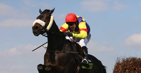 Madison Du Berlais: Hennessy winner 2008