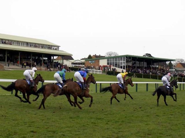 Hereford: Set to be shutdown by Arena Leisure and Northern Racing