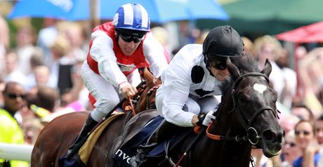 Dandino goes in Sunday's Japan Cup in Tokyo