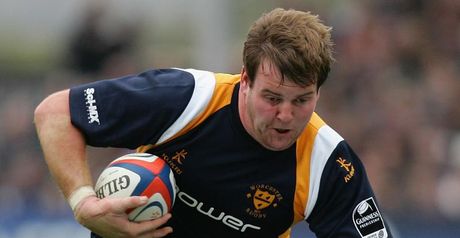 Quinnell: Back at Scarlets