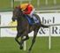Snow Fairy (IRE)