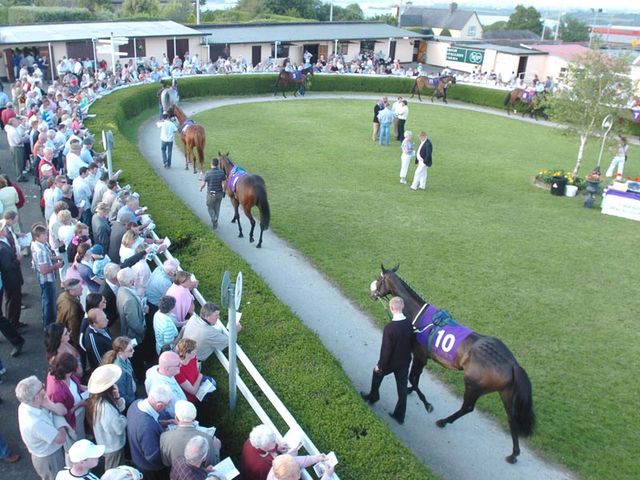 Wexford: Tuesday card in doubt