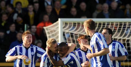 Morrison: Found the net for Owls