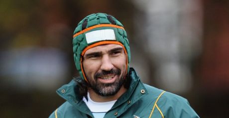 Matfield: Improvement needed