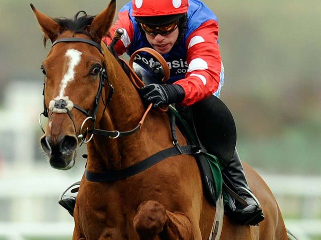 Ghizao: One of two intended runners for the sponsors