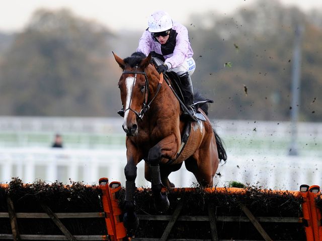 Megastar: Tipped to win over fences