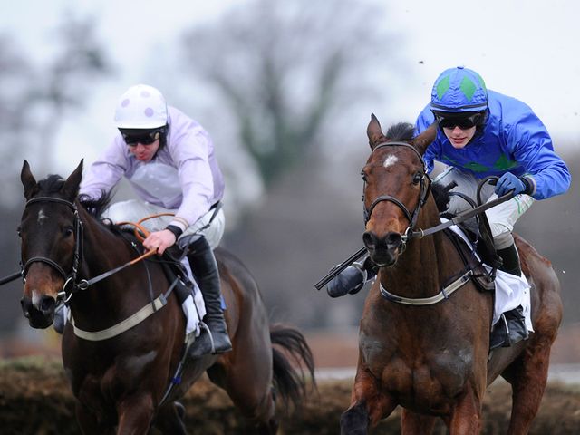 Solwhit (left) has nothing of Hurricane Fly's calibre to fear