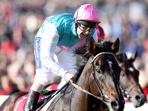 sky bet york stakes and mcfly