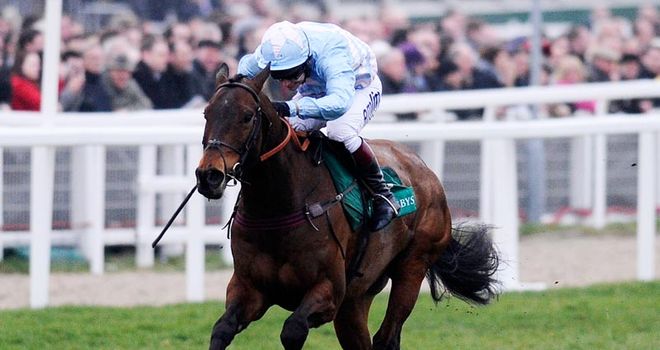 Cheltenian winning last year's Champion Bumper