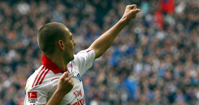 Mladen Petric: Is set to discuss his future at Hamburg in two months time