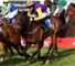 Noble Prince (GER)