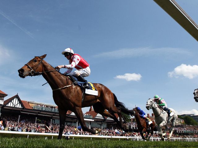 Glen's Diamond: Heads to Sandown on Saturday