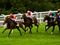 Racing live!