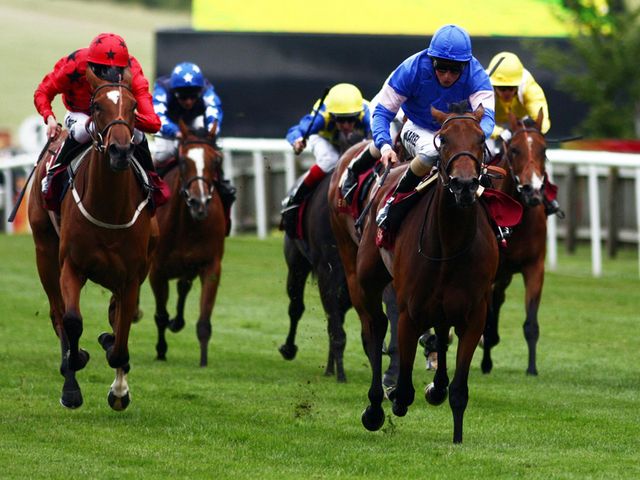Instance: One of the interesting Jeremy Noseda runners on Saturday
