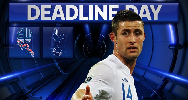 Cahill: Targeted by Redknapp but a deal could not be agreed