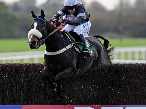 Weird Al looks a solid each-way bet at Haydock