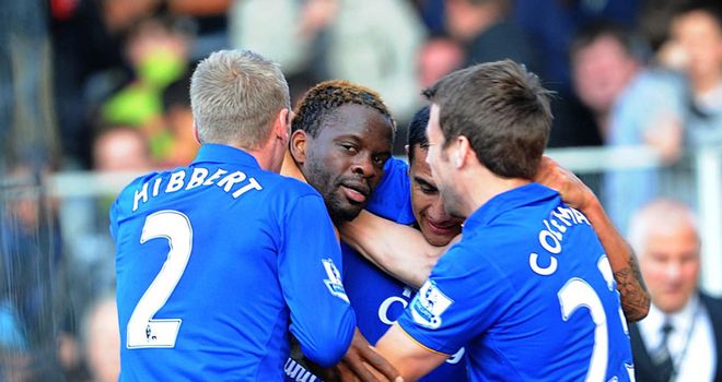 Louis Saha: Everton striker has been challenged to improve in the second half of the season