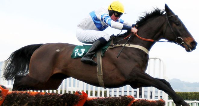 Jan Faltejsek: Rode the Pardubicka winner