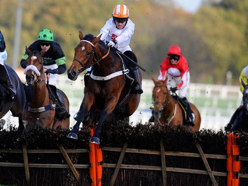 Broadbackbob: Impressive chasing debut