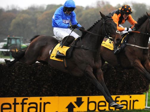 Cappa Bleu: Ascot entry