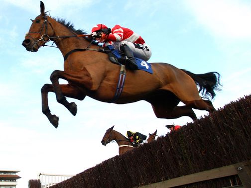 Michel Le Bon: Can land the veterans' chase at Wincanton