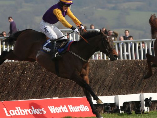 Noble Prince: Set to contest the Coral Cup