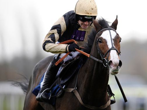 Prospect Wells: Winner of National Spirit Hurdle at Fontwell