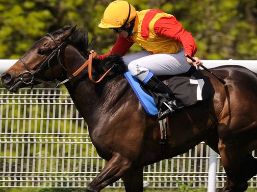Snow Fairy: A phenomenal racehorse