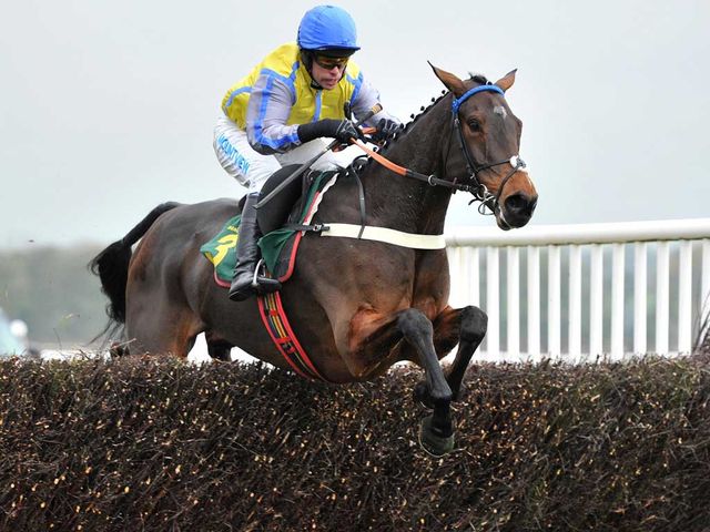 Peddlers Cross: Set to run at Musselburgh
