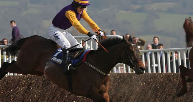 Noble Prince: Set to contest the Coral Cup
