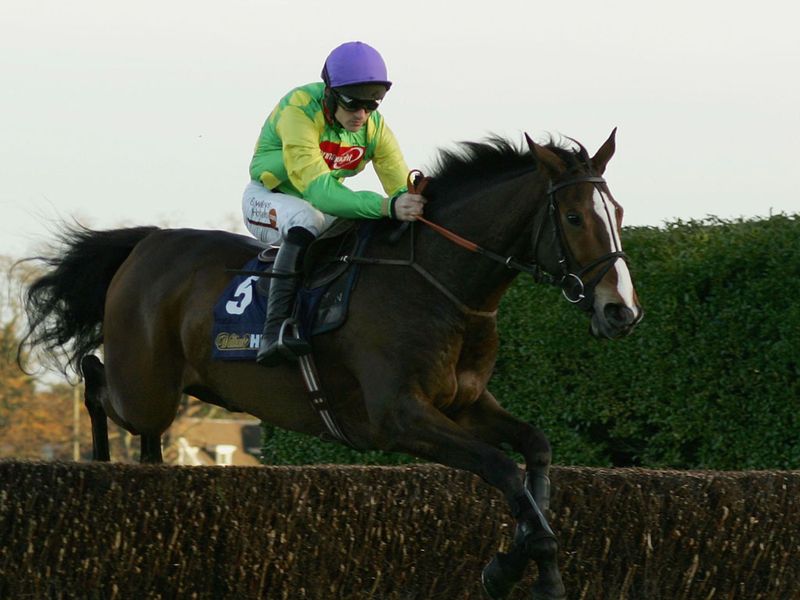 Kauto Star arrives on the big stage in the 2006 Tingle Creek...