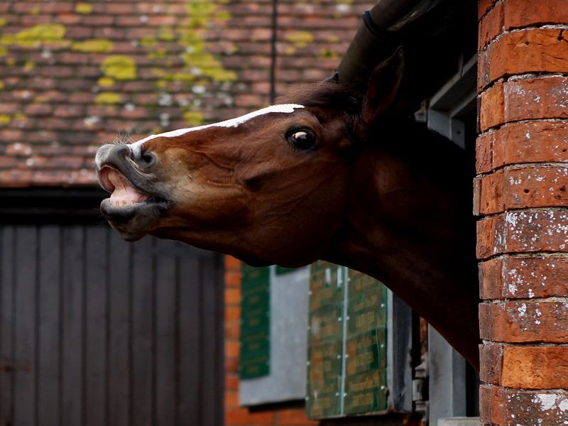 Kauto laughs off retirement talk...