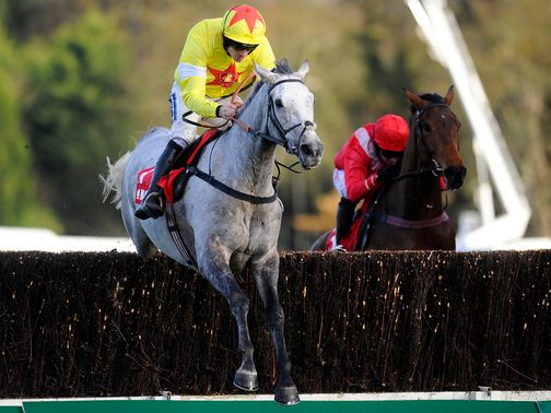 Al Ferof: Paddy Power Gold Cup contender for Paul Nicholls