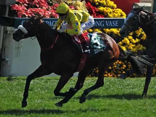Dunaden: Back at Ascot in the King George