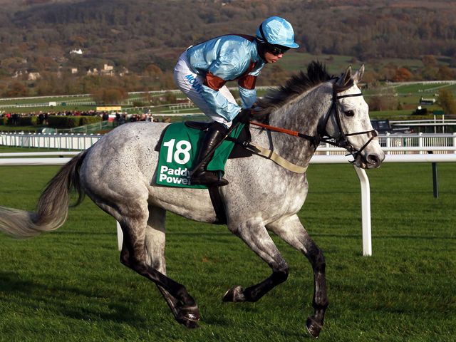 Divers: Has been taken out of Saturday's race