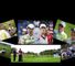 Images from this year's Solheim Cup