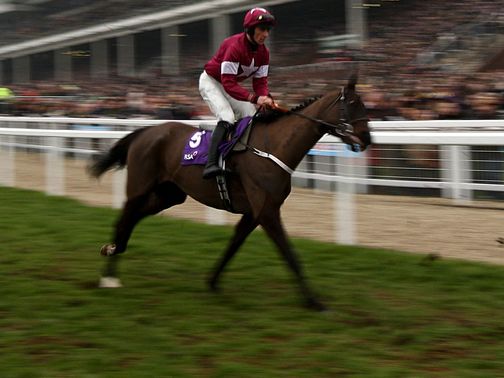 Magnanimity: Thurles run