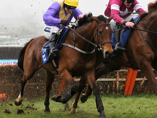 So Young: Represents Willie Mullins