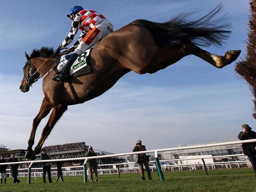 The Giant Bolster has recovered well from Kempton