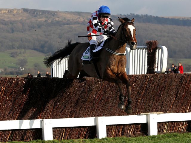 http://e0.365dm.com/12/01/640/The-Giant-Bolster-Cheltenham_2709504.jpg?20120128151356