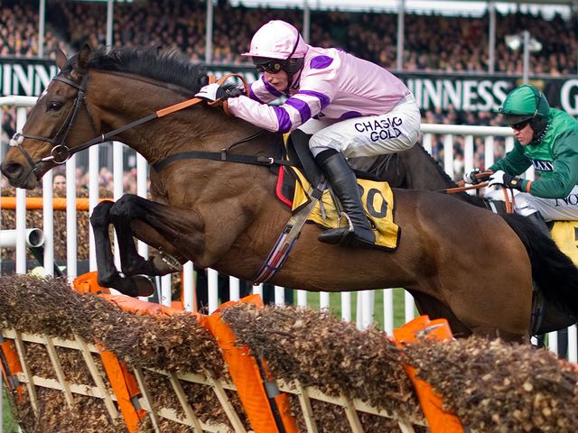 Zarkandar: Elite Hurdle contender