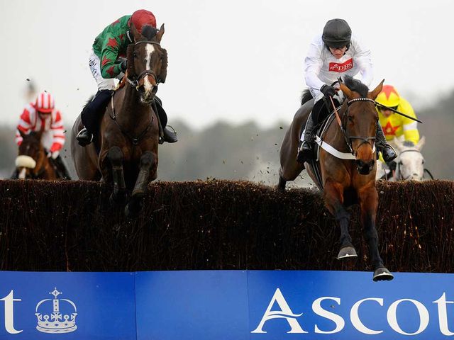 Finian's Rainbow (R): Ascot headline act