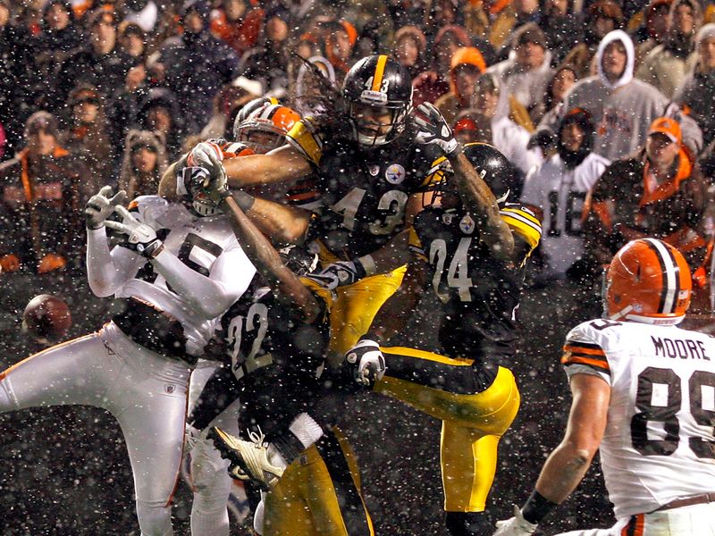 Troy Polamalu and the Steelers beat the Browns but had to settle for a wildcard.